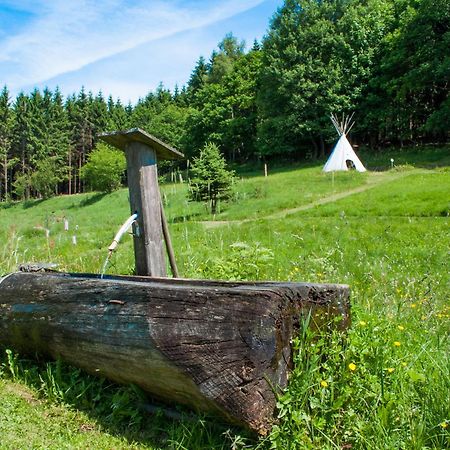 Apartament Haus Sohl Am Rothaarsteig Bad Laasphe Zewnętrze zdjęcie